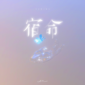 找个老淑女泻火视频
